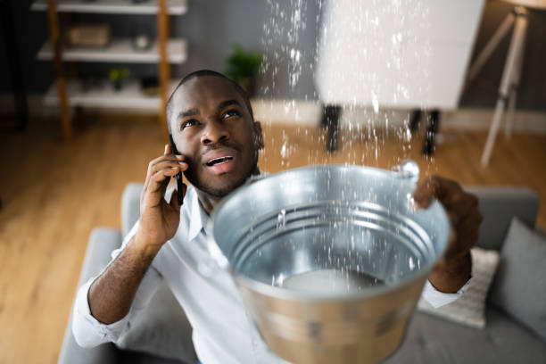 Best 24/7 water damage repair  in North Key Largo, FL
