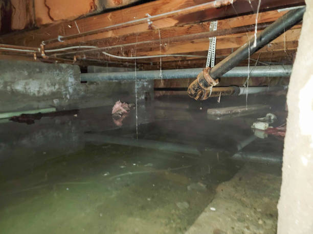 Best Commercial water damage restoration  in North Key Largo, FL