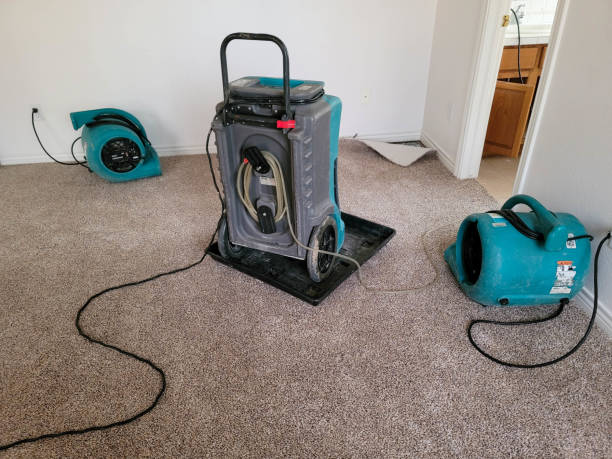 Best Water damage contractors near me  in North Key Largo, FL