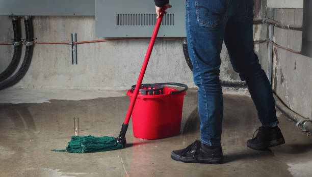 Water damage restoration mold remediation in North Key Largo, FL