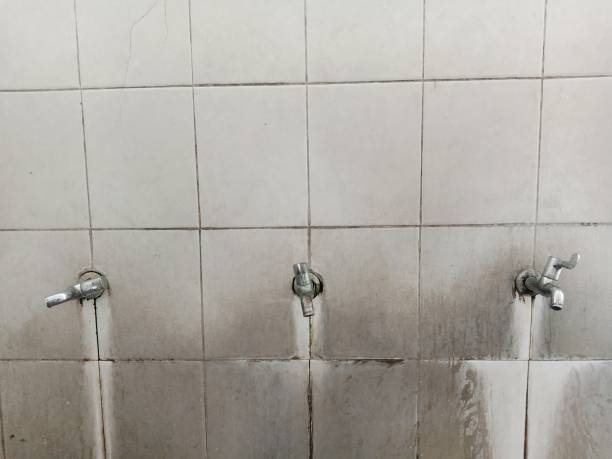 Best Local water damage restoration  in North Key Largo, FL