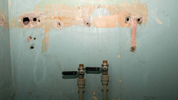 Best Water damage cleanup near me  in North Key Largo, FL