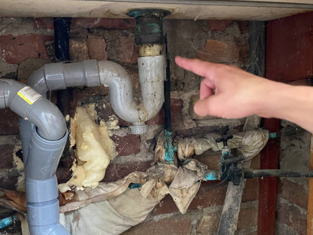 Best Sewage cleanup and water damage restoration  in North Key Largo, FL